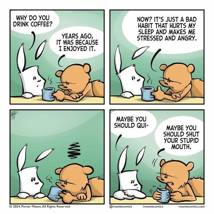 Meet Roonie The Rabbit — The Cutest Overthinker You'll Ever See!