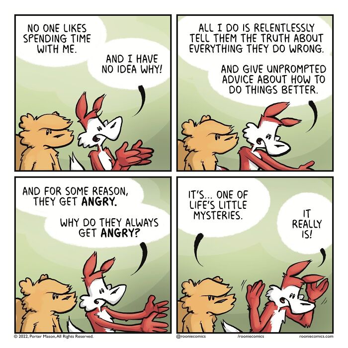 Meet Roonie The Rabbit — The Cutest Overthinker You'll Ever See!