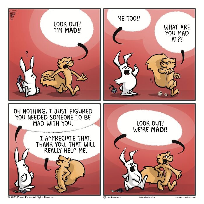 Meet Roonie The Rabbit — The Cutest Overthinker You'll Ever See!