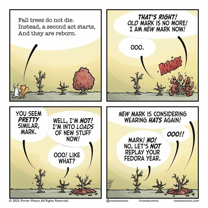 Meet Roonie The Rabbit — The Cutest Overthinker You'll Ever See!