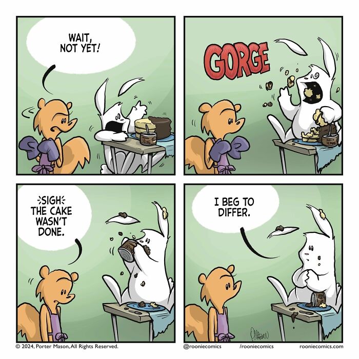 Meet Roonie The Rabbit — The Cutest Overthinker You'll Ever See!