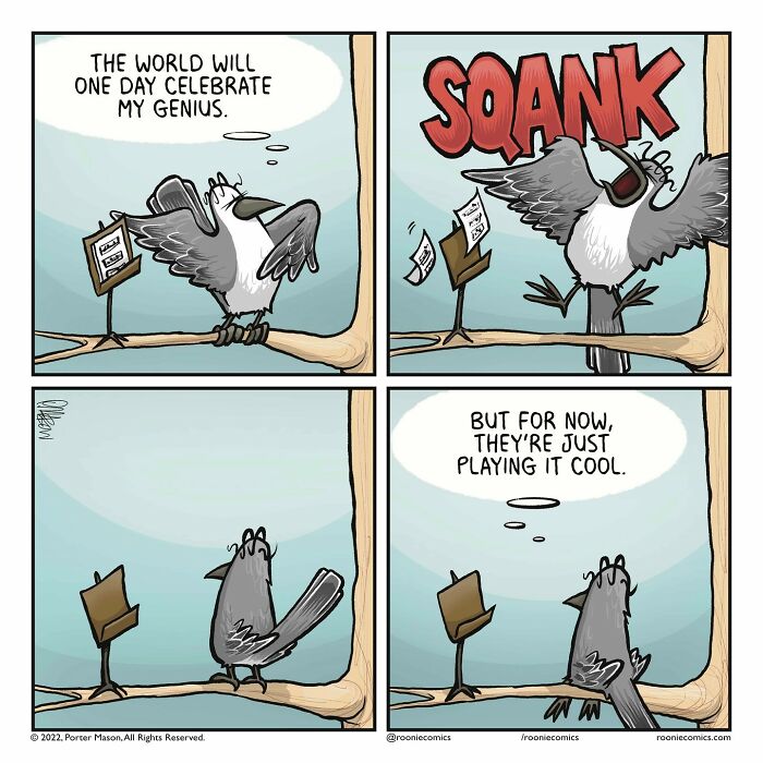 Meet Roonie The Rabbit — The Cutest Overthinker You'll Ever See!