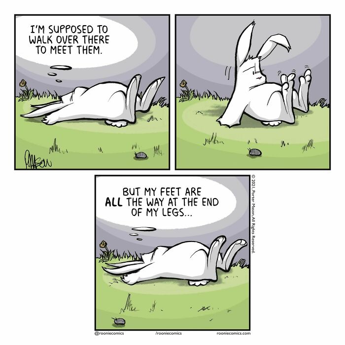 Meet Roonie The Rabbit — The Cutest Overthinker You'll Ever See!