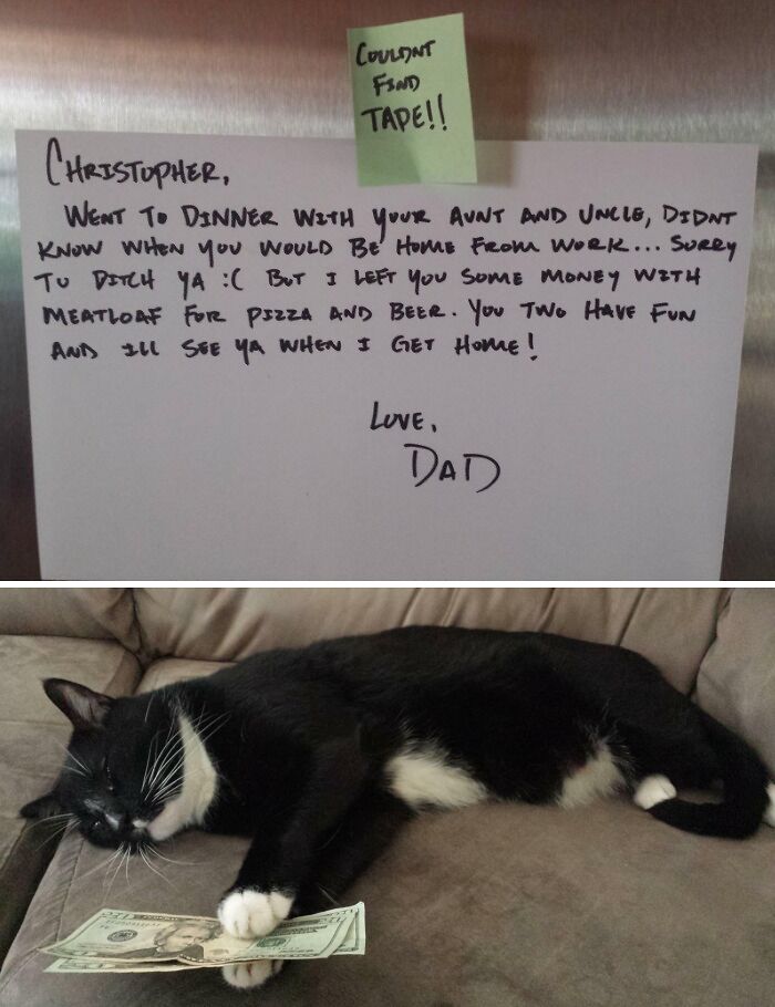 Came Home, Found a Note from Dad… Then My Cat Like He Promised!