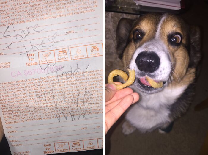 Mom’s Note: "Share My Curly Fries with the Dog"
