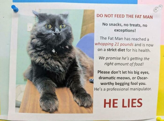 Don’t Even Think About Feeding the Big Guy