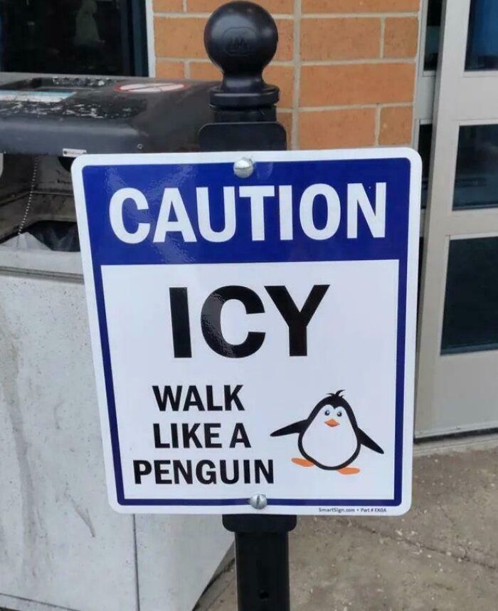 Walk Like a Penguin, They Said. It’ll Be Fun, They Said.