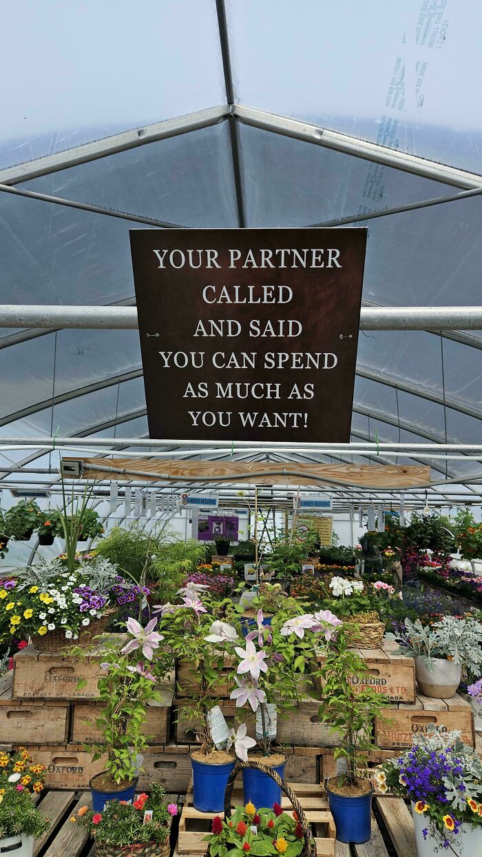 Wait, They Actually Made These Signs? Prepare to Giggle!