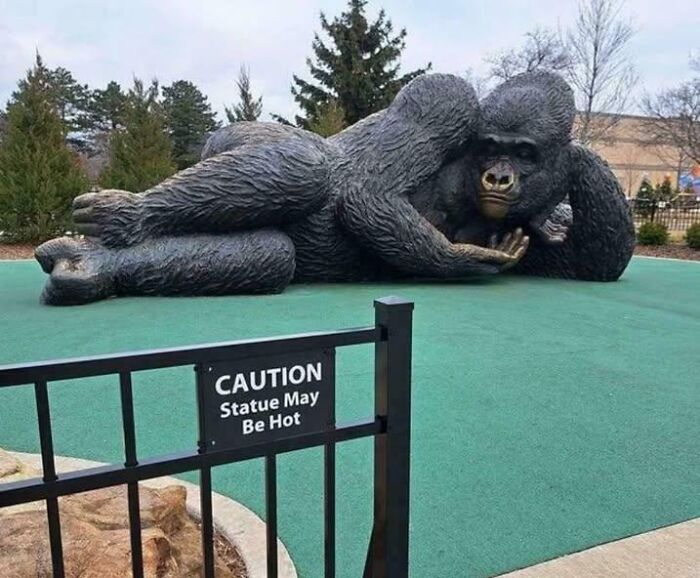 Wait, They Actually Made These Signs? Prepare to Giggle!