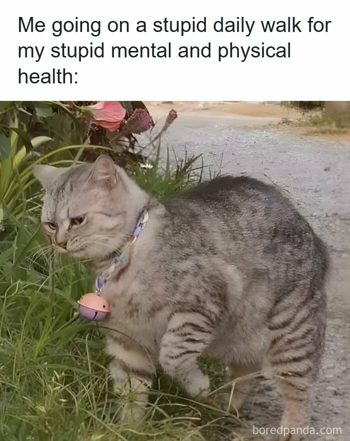 Get Ready to LOL: 43 Hilarious Healthcare Memes You Didn’t Know You Needed