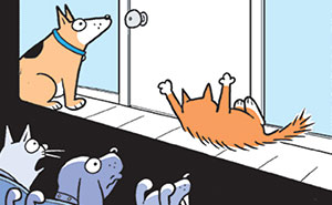 Wait Till You See How Animals & Stuff React to Horror Movies!
