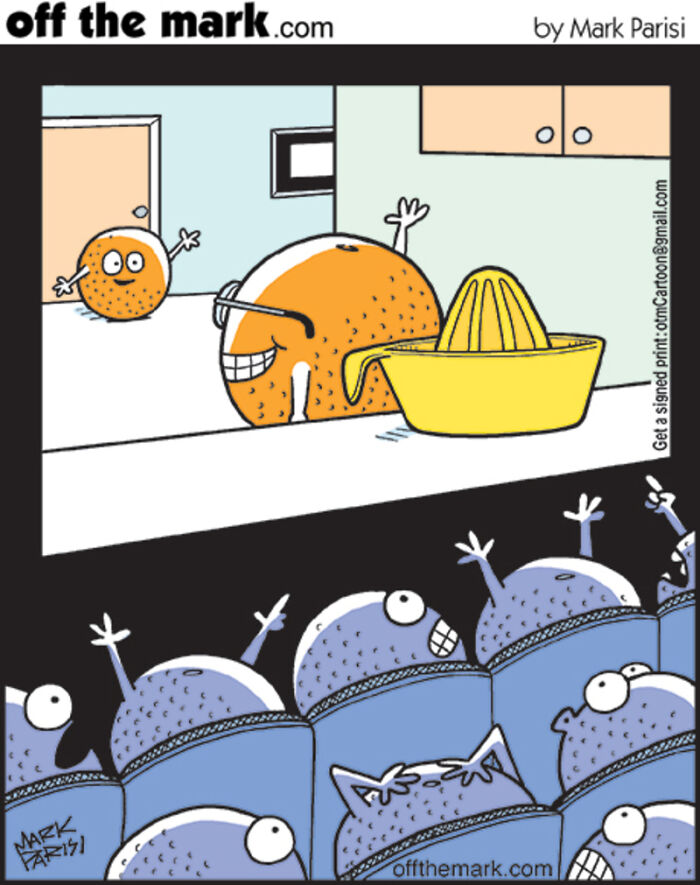 Wait Till You See How Animals & Stuff React to Horror Movies!