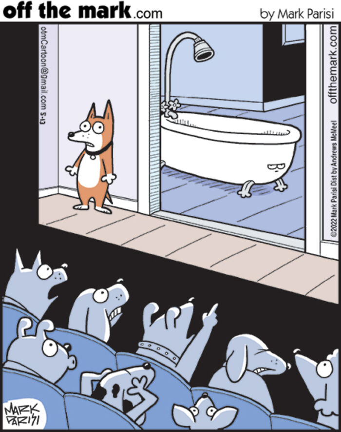 Wait Till You See How Animals & Stuff React to Horror Movies!