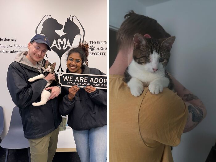 Wait Till You See These Pets’ Epic Glow-Ups!