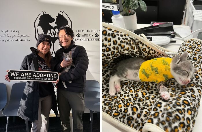 Cinder: The Three-Legged Wonder