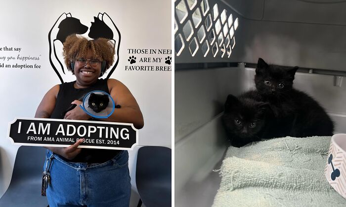 Dumpling: From Roadside to Royalty