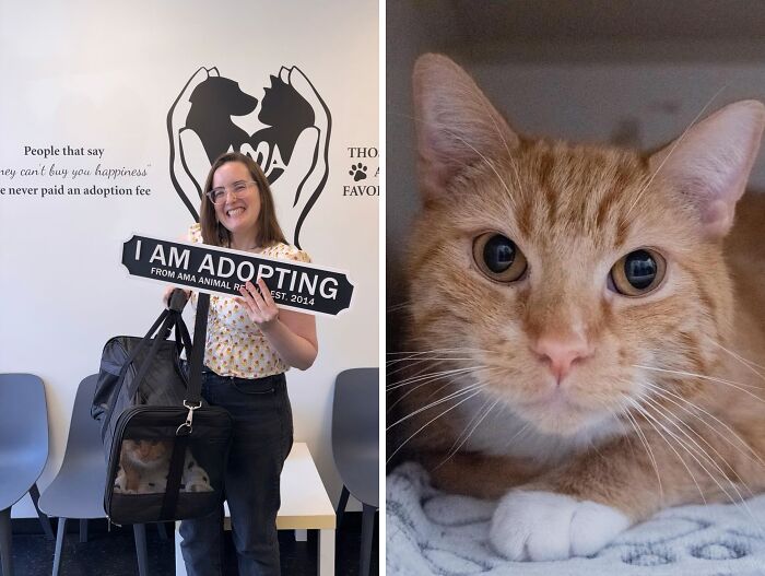 Cider: From Bus Seat to Best Friend