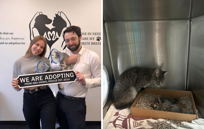 Thorn & Petunia: Double Trouble