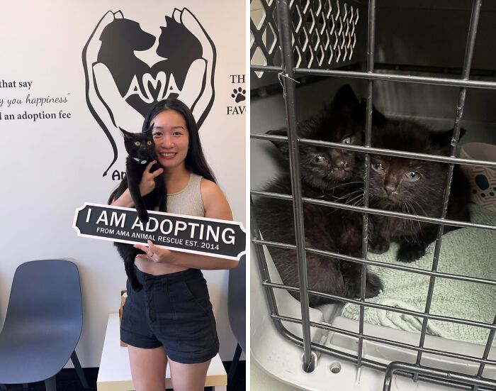 Eggroll: From Storm Drain to Snuggle Central