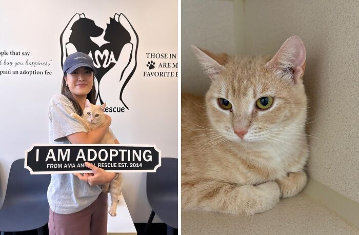 Dubu: Mama’s Love Pays Off