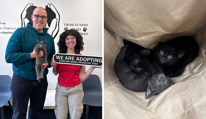 Twilight: Dumped but Never Defeated