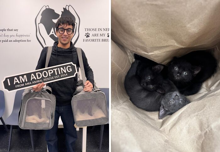 Midnight & Eclipse: The Dynamic Duo