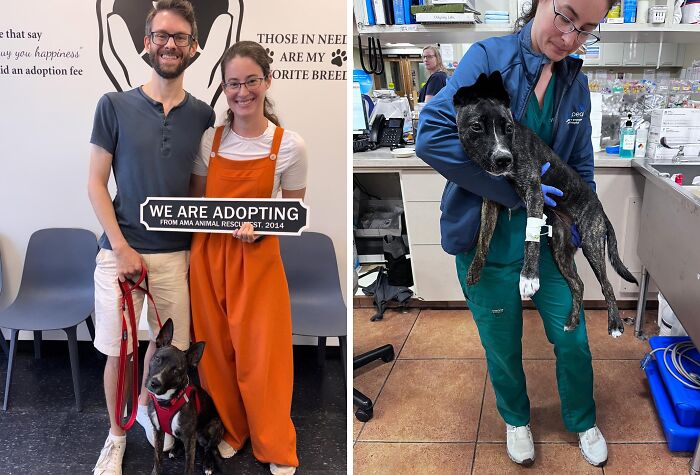 Pudding: The Unlikely Fighter