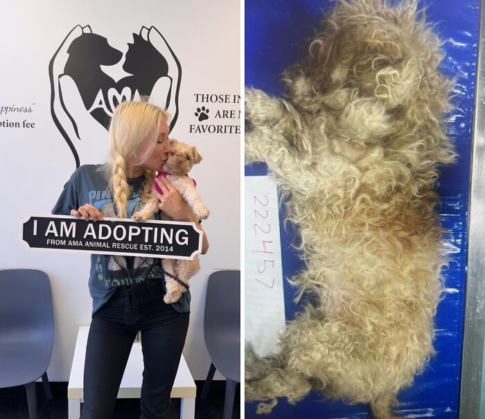 Angel: From Euthanasia List to Playtime