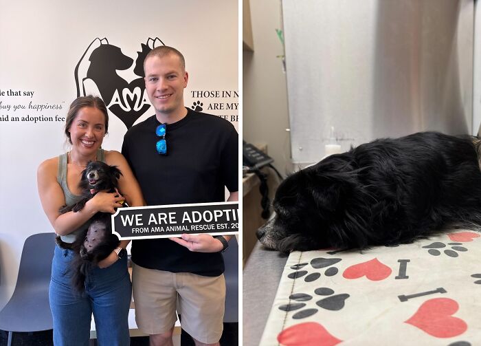 Grace: Senior Superstar