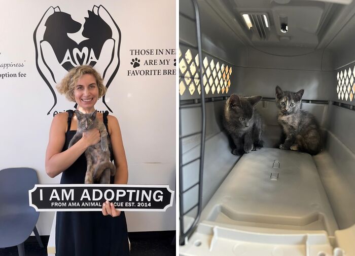 Nene (aka Taylor): Kitten to Queen