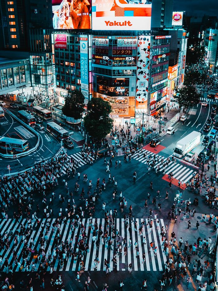 Tokyo, Japan - Neon Jungle That Never Sleeps