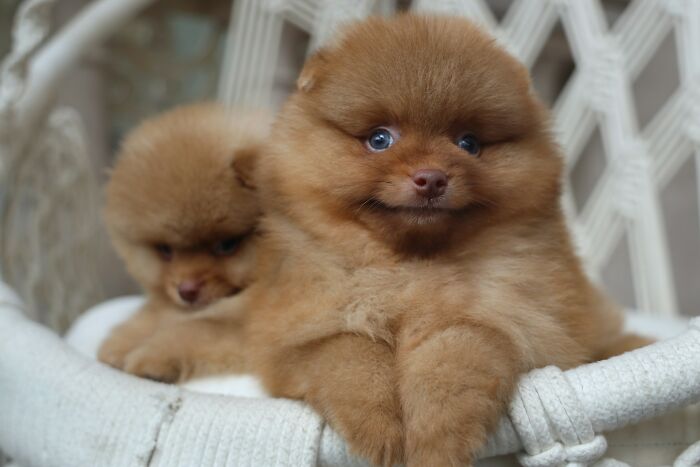 First Dates That Flopped So Hard, You'll Laugh (or Cringe!)