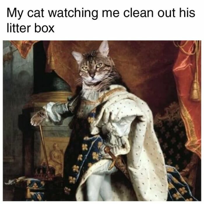 Wait, They Turned Classic Paintings Into Memes?!