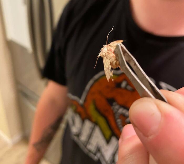 Wait, People Actually Went to the ER for This Stuff?!