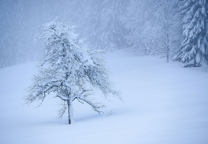 Wait, They Actually Learned These Random Facts Just Now?