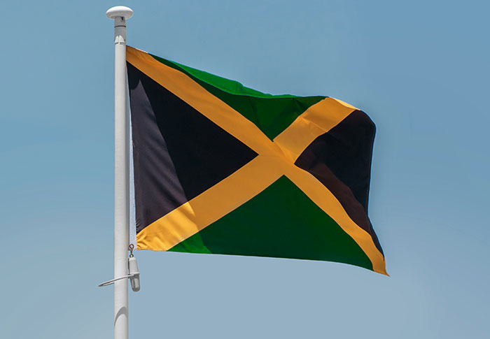 Wait, They Actually Learned These Random Facts Just Now?