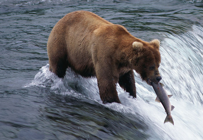 Wait, They Actually Learned These Random Facts Just Now?