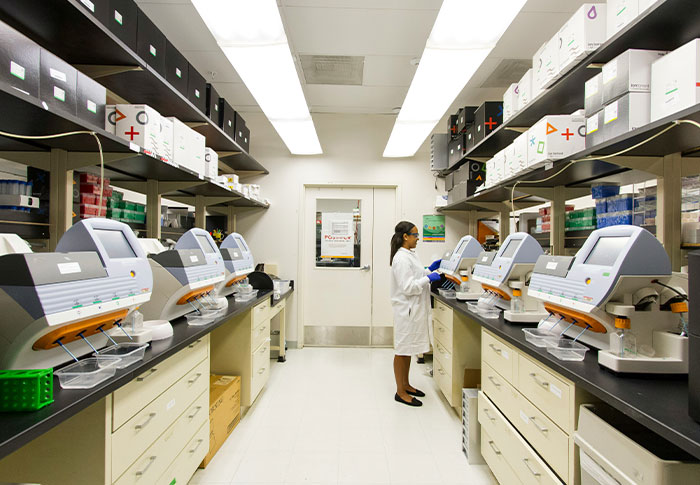 Wait, They Actually Learned These Random Facts Just Now?