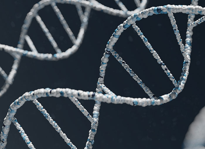 Wait, They Actually Learned These Random Facts Just Now?