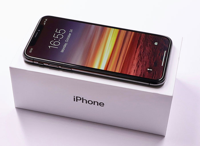 Wait, They Actually Learned These Random Facts Just Now?