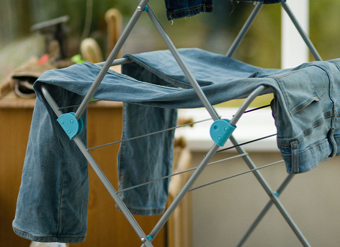 Wait, They Actually Learned These Random Facts Just Now?