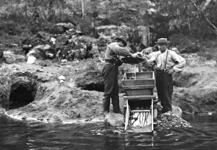 Wait, They Actually Learned These Random Facts Just Now?