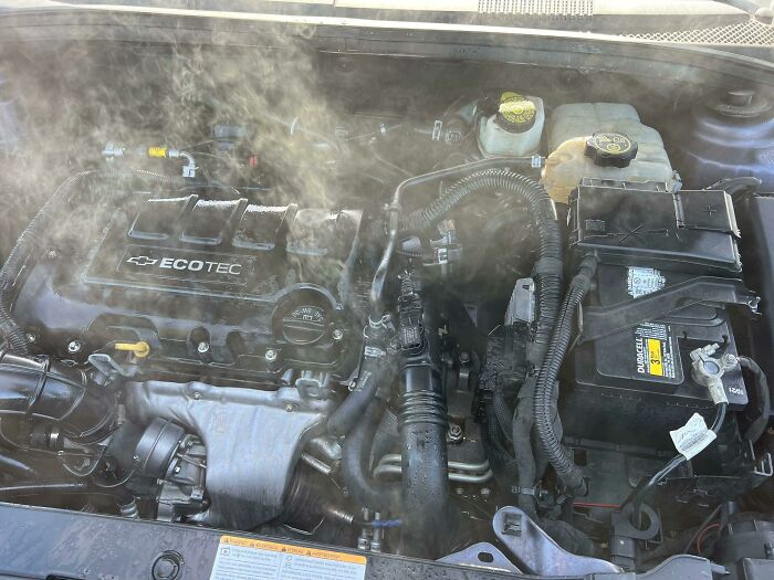 Wait, They Actually Ranked That?! 50 Epic Fails of Guys Trying (And Failing) to Be Alpha