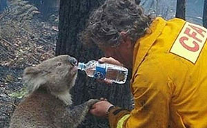 Get Ready to Smile: 35 Pics That Prove People Can Be Awesome!