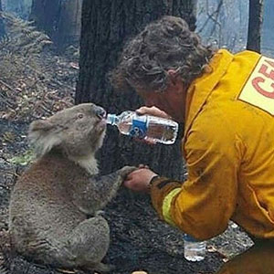 Get Ready to Smile: 35 Pics That Prove People Can Be Awesome!