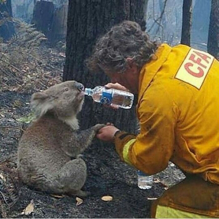 Get Ready to Smile: 35 Pics That Prove People Can Be Awesome!