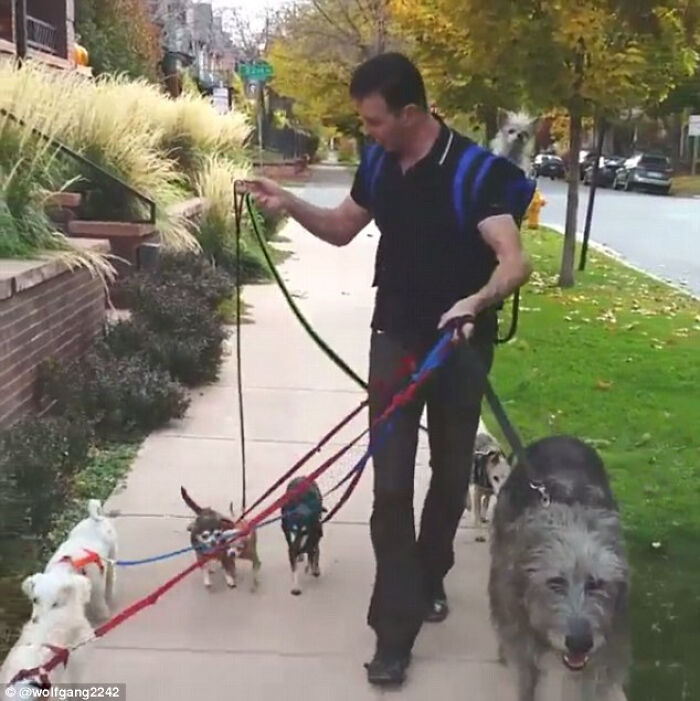 Get Ready to Smile: 35 Pics That Prove People Can Be Awesome!