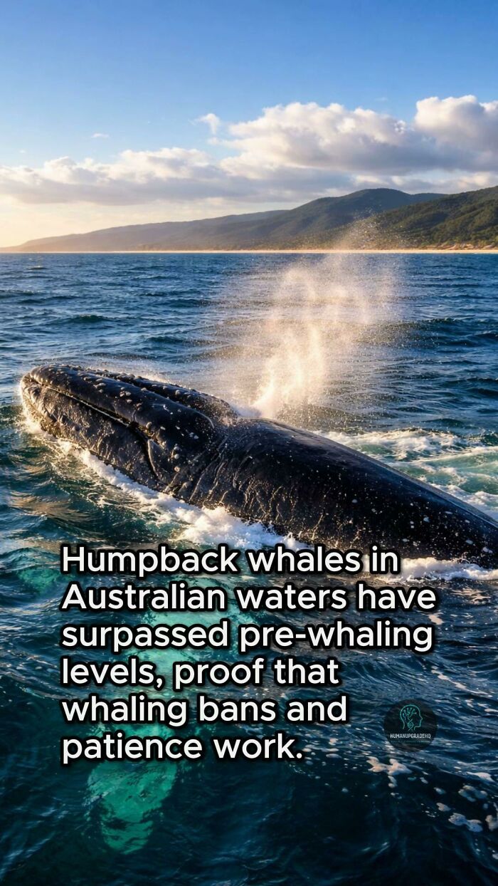 50 Awesome Good News Stories You Totally Missed