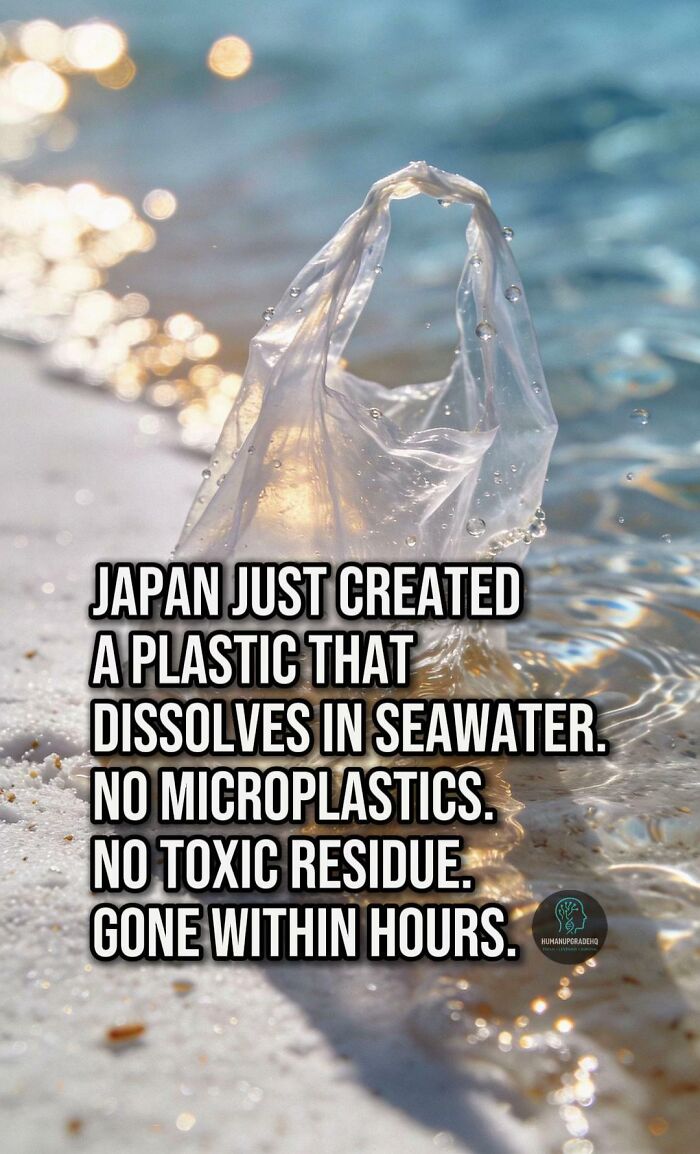 50 Awesome Good News Stories You Totally Missed