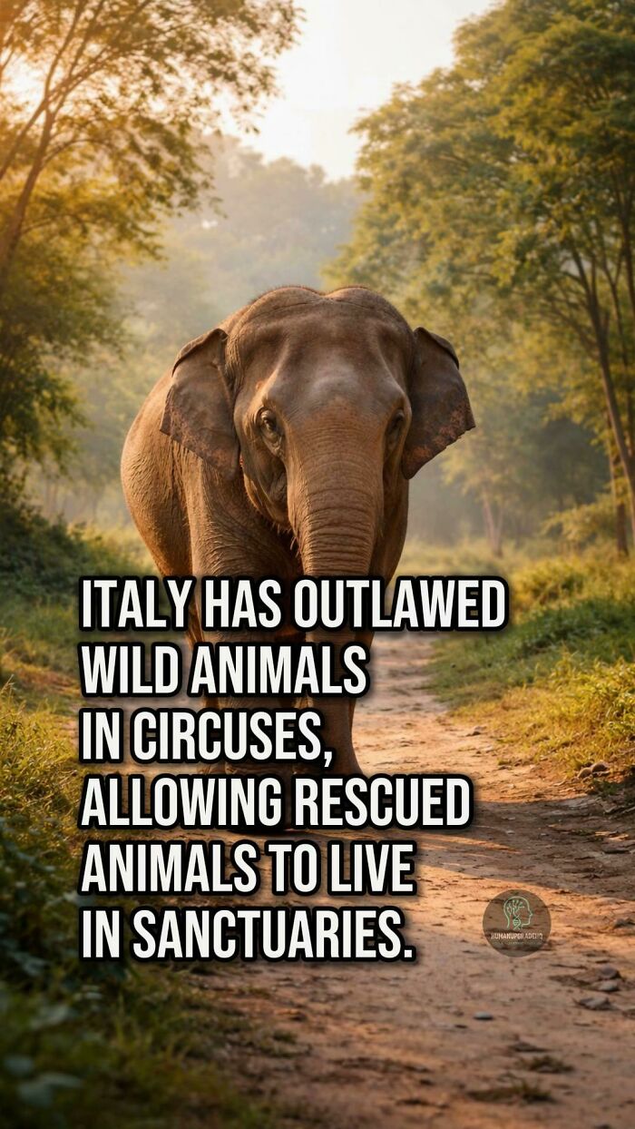 50 Awesome Good News Stories You Totally Missed